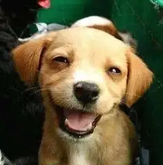上班族如何预防猝死
