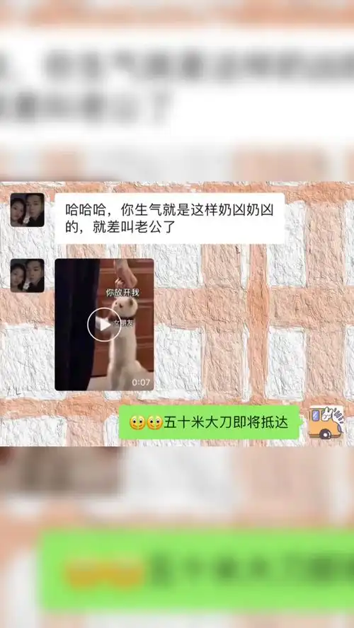 艾特你想艾特的人表情包沙雕猫咪的日常
