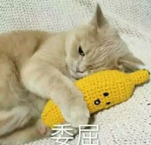 青春京剧社里说的京剧人物在现代可以从事哪些职业
